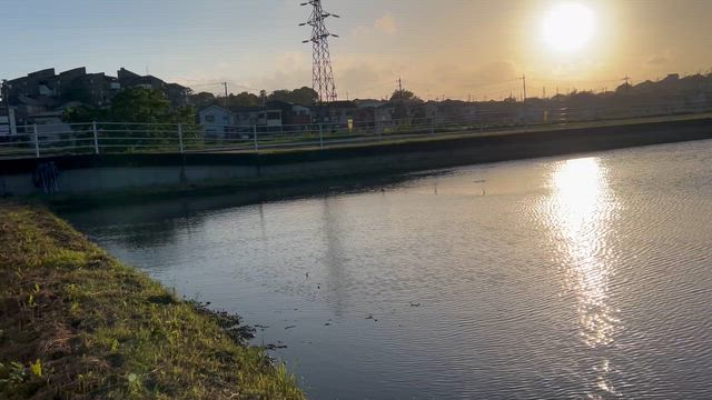 明日は田植えですの記事動画