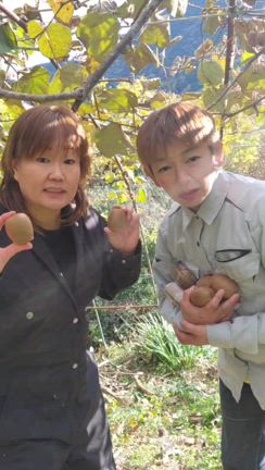 本日の記事動画