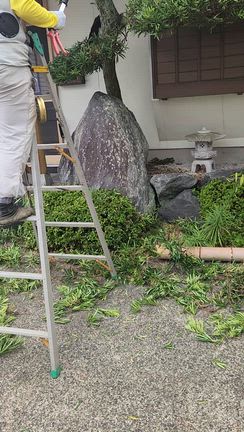 どうですか？の記事動画