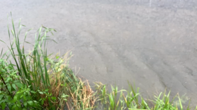 台風一過となるか？の記事動画