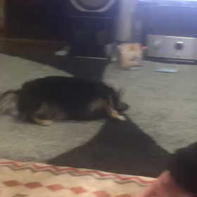 ラブの画像