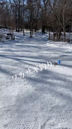 〜レクレーション〜の記事動画