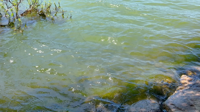 湖に浮かぶ天の河の記事動画