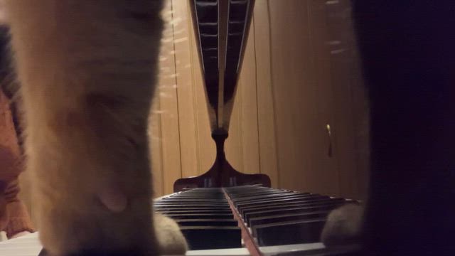 寒い寒いの記事動画
