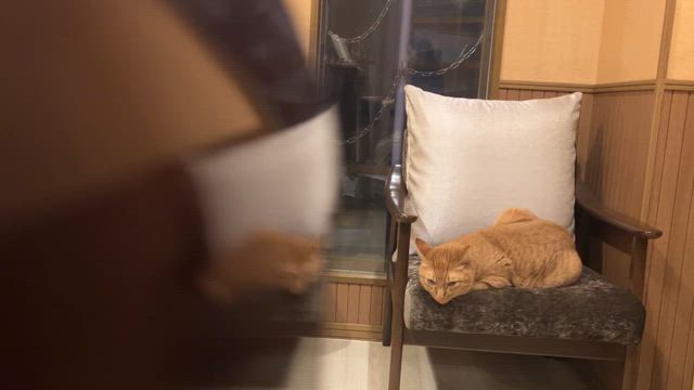 自分を大切にの記事動画