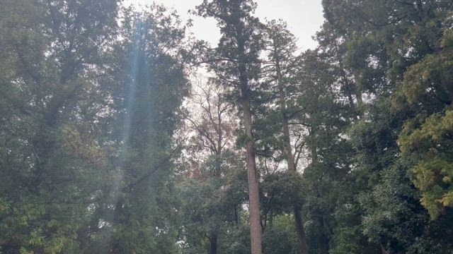 兵庫旅④　輿位神社の記事動画