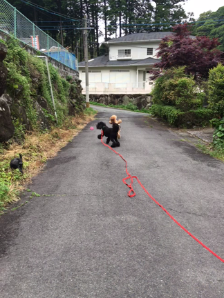 雨雨の記事動画