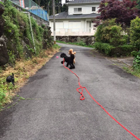 雨雨の画像