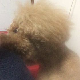 痒いの画像