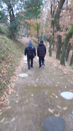 ♡明けましておめでとうございます♡の記事動画