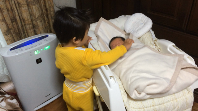 大っきい赤ちゃんと小っちゃい赤ちゃん。の記事動画