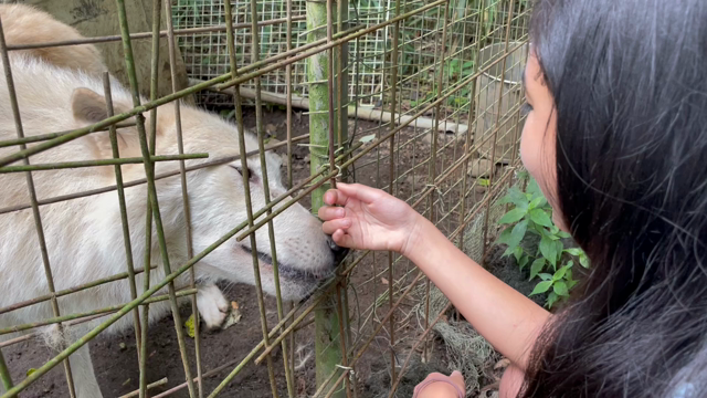 ママ＋仕事で駆け抜けた夏！ママたち、みんなお疲れさまでした〜！の記事動画