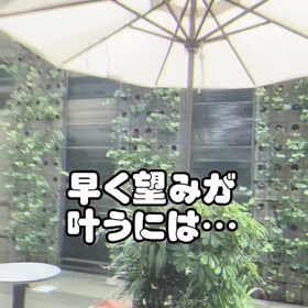 早く望みが叶う〜の画像