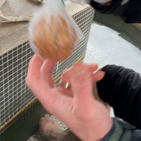 骨休みの画像
