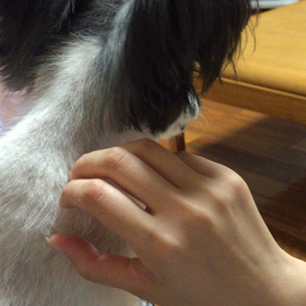 愛犬ライくんパート2❤️の画像