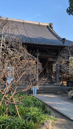 GW最終日の写経(写詞)とお寺参拝、とても良き開運行動かも！？の記事動画
