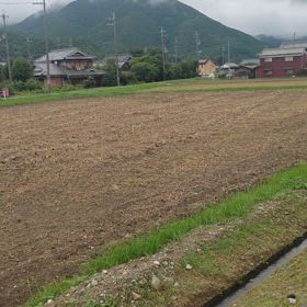 肋骨逝ったみたいやねんけど…　犯人は息子か？　対戦相手かw自爆か？wの画像