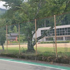 不思議？現場付近の方の優しさ？　　　　(｡ŏ﹏ŏ)　ﾅﾝﾃﾞ？の画像