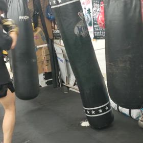 昨日に続きトレーニングを…　（テツジムドラゴンで️）の画像