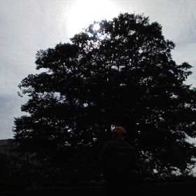 １５時までに、終わった現場…　やるしかないよね？　(ヾ(´・ω・｀)ｵﾘｬ…の画像