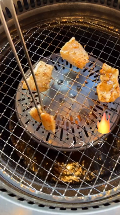 お出かけランチ♪の記事動画