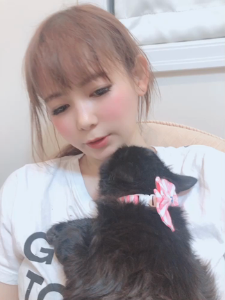 東京ミュウミュウの記事動画