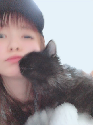 命名！ミュウの記事動画