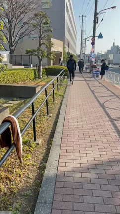 朝の駅頭でのご挨拶（3月16日）の記事動画