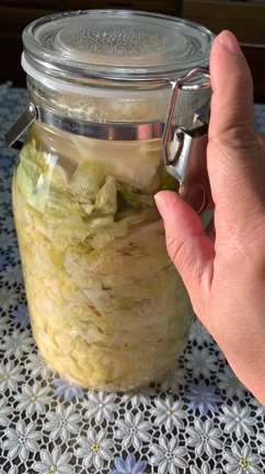 【乳酸菌のチカラで腸活！】ザワークラウト作ってみました！の記事動画
