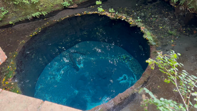 柿田川公園に寄り道。 溢れ出る湧水で、心も体も充分潤いました♪の記事動画