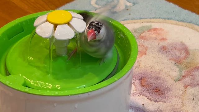 日光無線サーキット 〜 ☆の記事動画