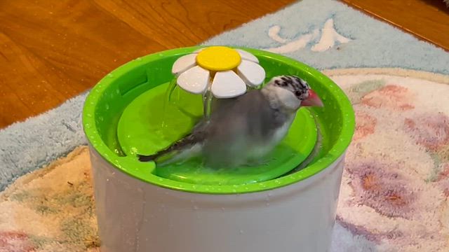 GW 3日目〜☆の記事動画