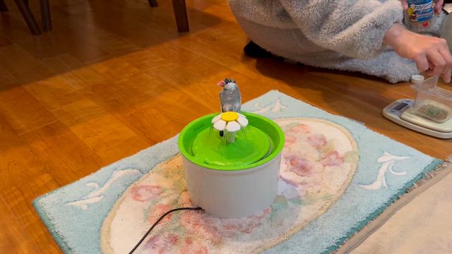 GW初日 〜 ☆の記事動画