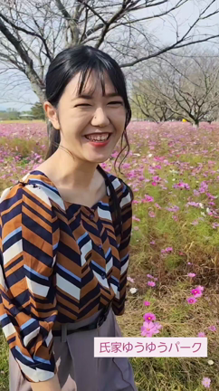 さくら市「氏家ゆうゆうパーク」のコスモスの記事動画