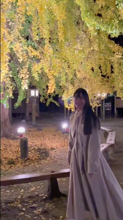 さくら市今宮神社の大いちょうの記事動画