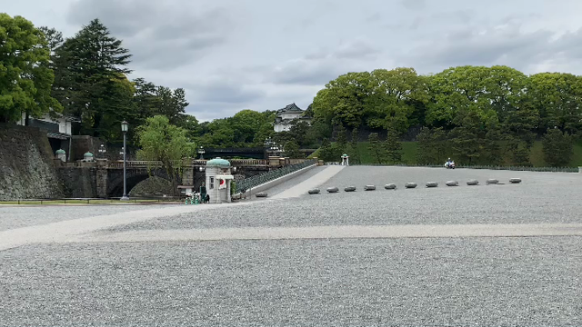 令和の記事動画