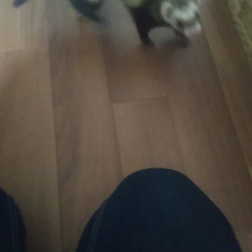 くっくっくっ！！の画像