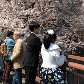 タイマッサージナコタイの画像
