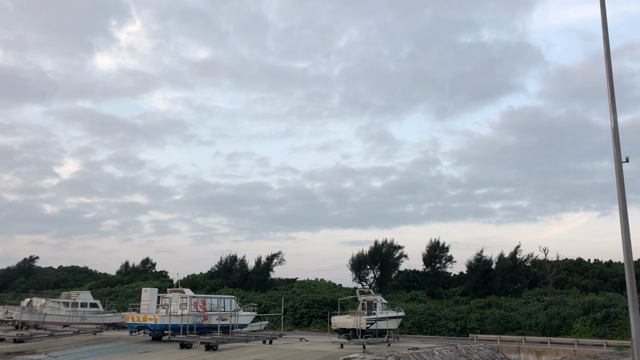 竹富島の変な鳥。の記事動画