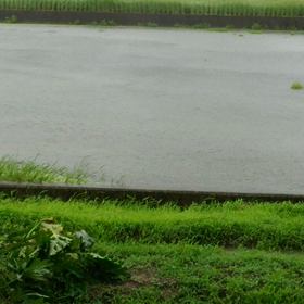 台風らしい天気にの画像