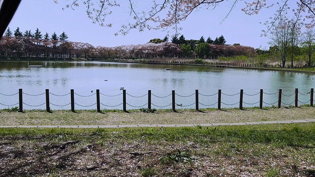 また次の春にの記事動画