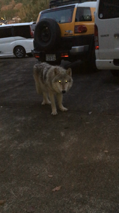 あらえびす！  岡山 エルダーガイド身体ワークの記事動画