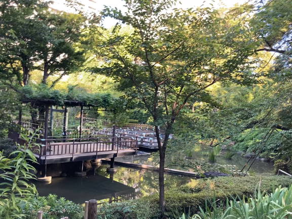 東郷神社の風鈴の音をお届けの記事動画