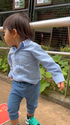 無料動物園の記事動画