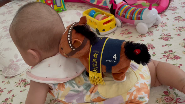 双子の性別の記事動画