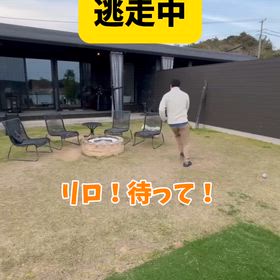 りろちゃんの画像