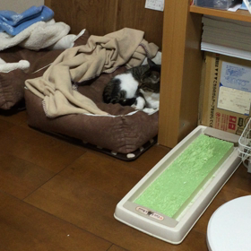 おはよー 起きてる！の画像