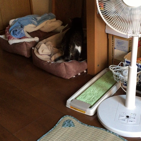 デジャブなのか・・・？の画像