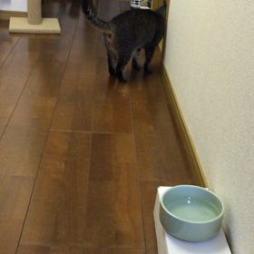 おはよー2の画像