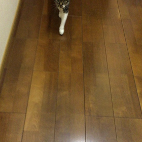 ただいま〜の画像